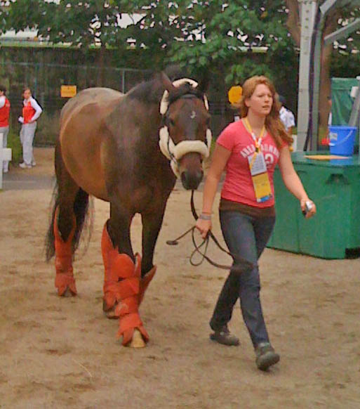 Gran Gesto and Lindsay