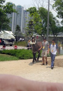 Jerome and Hickstead