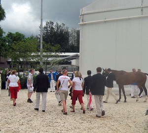 Canadian team heading back to the barns after a job well done