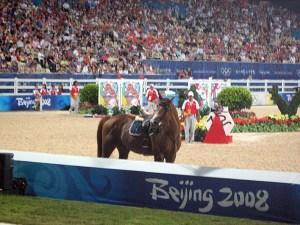Jamal Ramihov of Azerbaijan ran into trouble at the second last fence. It looked like his horse misjudged the width of the massive oxer and started to paddle. The rider went airborne and was caught up in the horse's legs. Horse was ok.