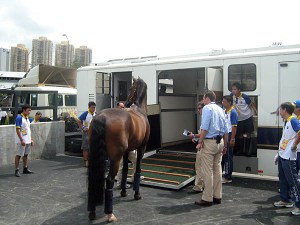 Ole getting ready to board his limousine ride to the airport