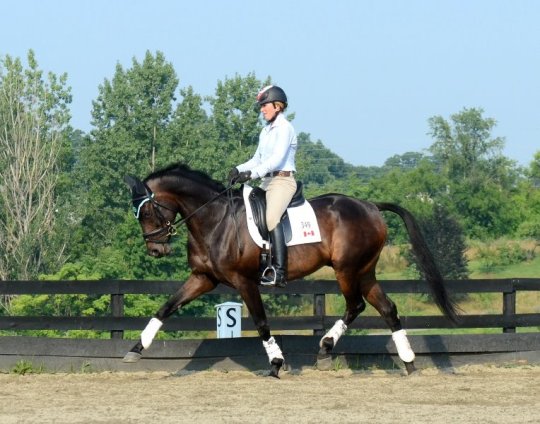 Jessica Phoenix & Exponential