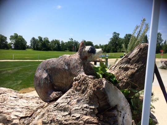 2015 Pan American Games Cross Country Course