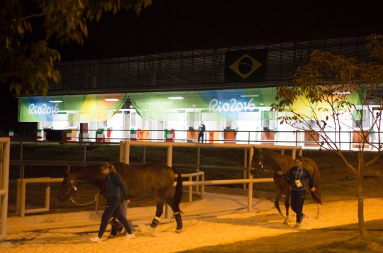 2016-07-30-DeodoroStables