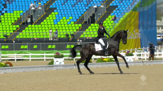 2016-08-06-KRobinson-Dressage17