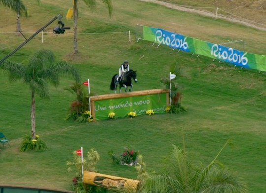 2016-08-08-KRobinson2