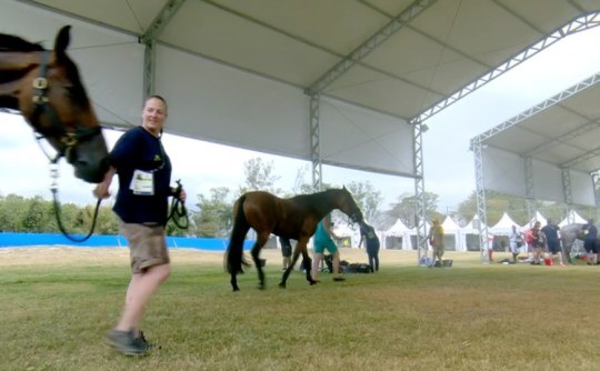 2016-08-08-MistingStations